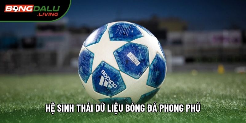 Hệ sinh thái dữ liệu bóng đá phong phú Hệ sinh thái dữ liệu bóng đá phong phú