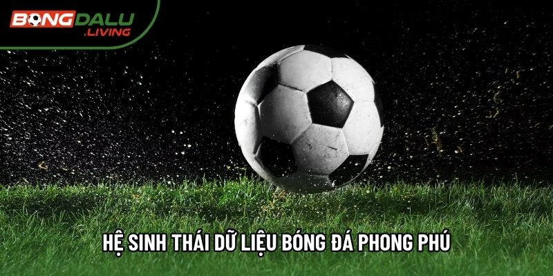 Hệ sinh thái dữ liệu bóng đá phong phú