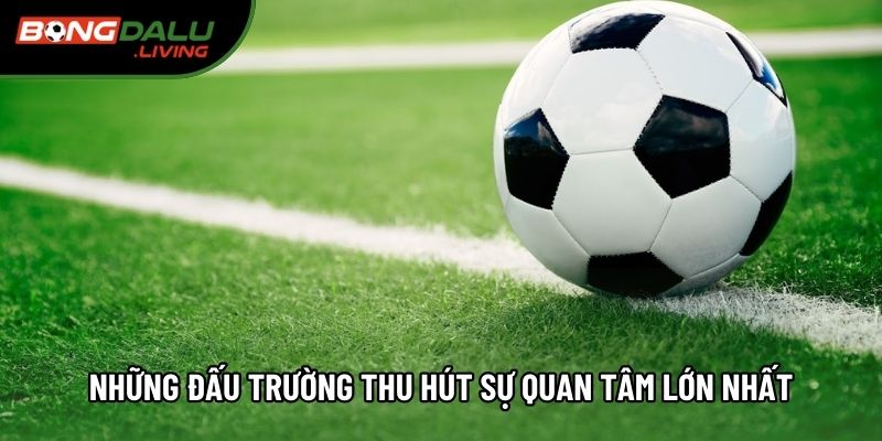 Những đấu trường thu hút sự quan tâm lớn nhất Những đấu trường thu hút sự quan tâm lớn nhất